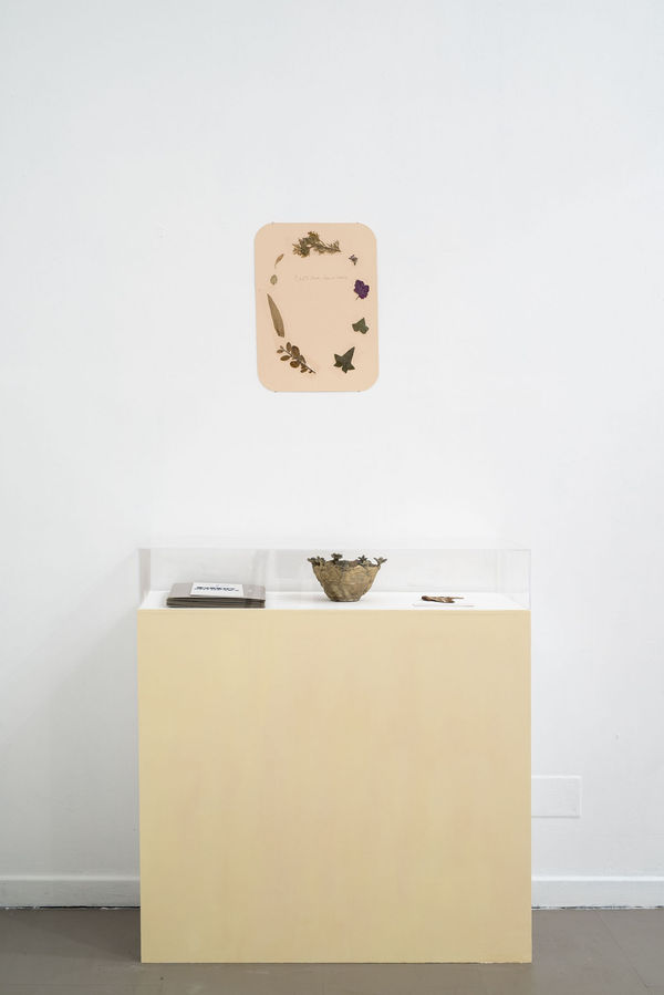 Evgeny Antufiev, Eternal Garden, 2017, installation view at z2o Sara Zanin Gallery