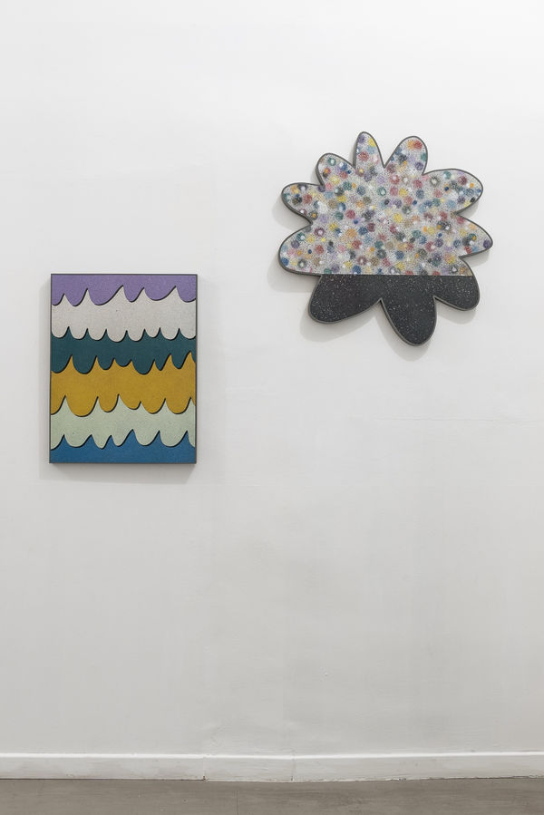 Walled Gardens In An Insane Eden, Rhys Coren, installation view, 2017