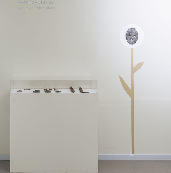 Evgeny Antufiev, Fusion and Absorption, installation view at z2o Sara Zanin Gallery