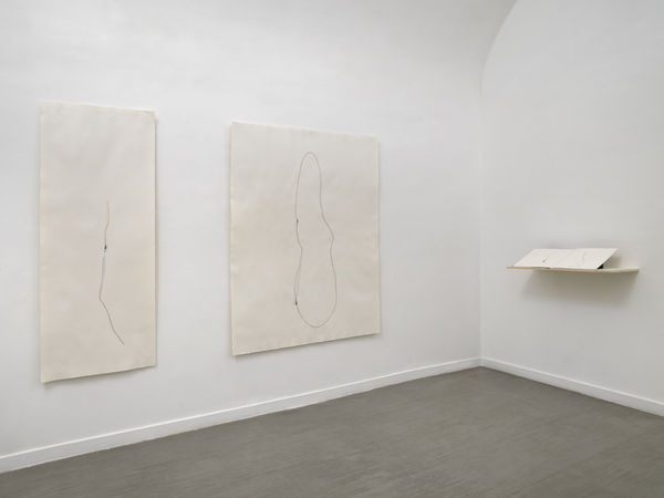 Beatrice Pediconi Nude curated by Cecilia Canziani installation view of the second room ph. Dario Lasagni