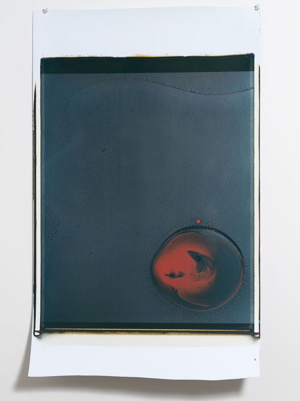 Beatrice Pediconi Gaea #20, 2018 Polaroid P3 Cm 92 x 56, cm 112 x 70 x 5.5 framed