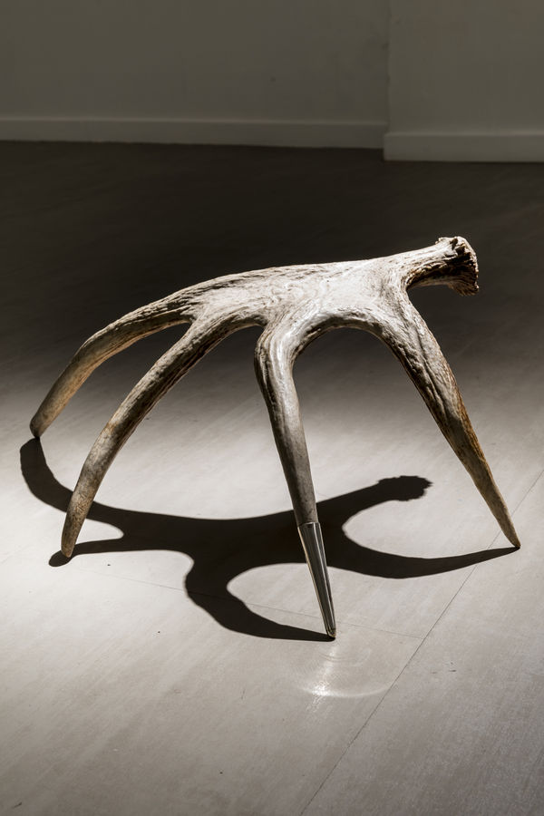 Giovanni Kronenberg L'antinomia di Capitan Blicero, 2016 Moose horn and silver thimble ca cm 50 x 57 x 21