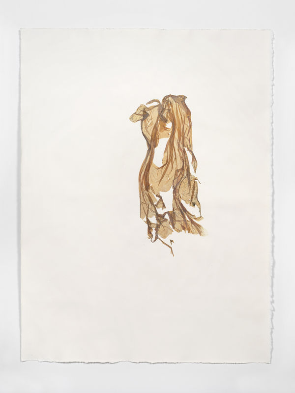 Beatrice Pediconi Anamnesis #6, 2019 Mixed media on watercolor paper Cm 66 x 50, cm 75 x 59 x 4 framed