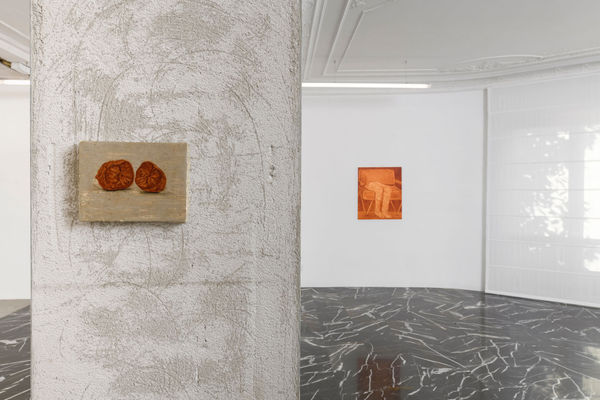 Installation View, Andreas Zampella, z2o Project, Ph. Giorgio Benni