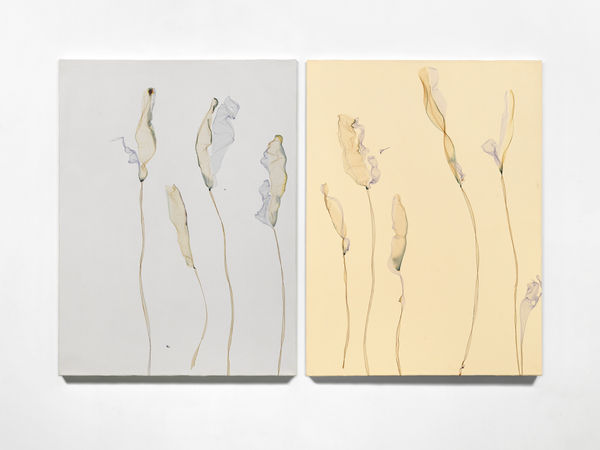 Se la vita è solo di passaggio seminiamo almeno i fiori (after Michel de Montaigne, philosopher), 2024, Polaroid emulsion and acrylic on canvas, diptych, cm 102 x 155 x 4. Ph Dario Lasagni