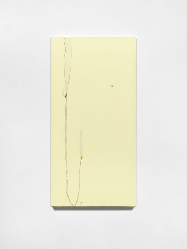 Un fiore sboccia per la sua stessa gioia (after Oscar Wilde, writer), 2024, Polaroid emulsion and acrylic on canvas, cm 91 x 46 x 4. Ph Dario Lasagni