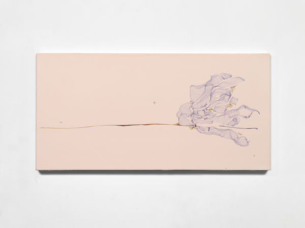 Dipingo i fiori così che non moriranno (after Frida Kahlo, painter), 2024, Polaroid emulsion and acrylic on canvas, cm 49 x 91 x 4. Ph Dario Lasagni