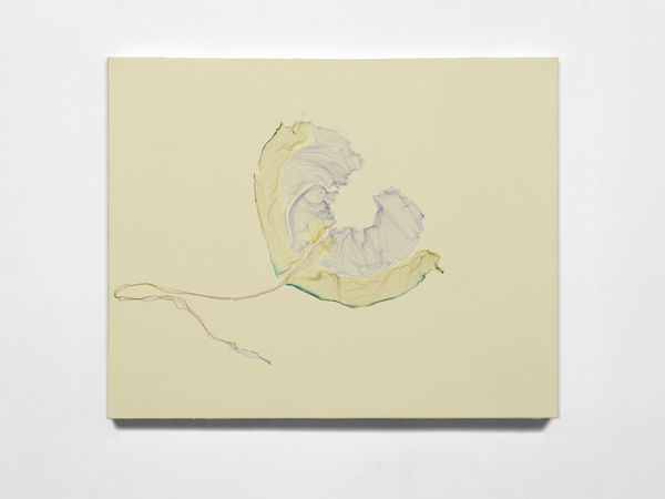 I fiori non camminano nel fuoco (after Antoine de Saint-Exupéry, writer), 2024, Polaroid emulsion and acrylic on canvas, cm 61 x 77 x 4. Ph Dario Lasagni