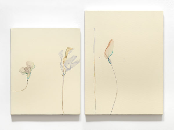 Perfumes Are the Feeling of Flowers (after Heinrich Heine, poet), 2023, Polaroid emulsion and acrylic on canvas, diptych, cm 51 x 40.6 (left), cm 61 x 46 (right). Ph Dario Lasagni
