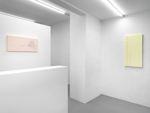 Installation View, Beatrice Pediconi | ... senza turbare una stella, curated by Antonello Tolve, 2024, z2o Sara Zanin | Ph. Dario Lasagni