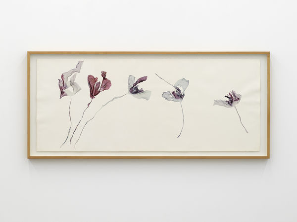 The Water Lilies - Sunset (homage to Calude Monet's water lilies), 2024, Polaroid emulsion lift on watercolour paper, cm 76 x 172. Ph Dario Lasagni