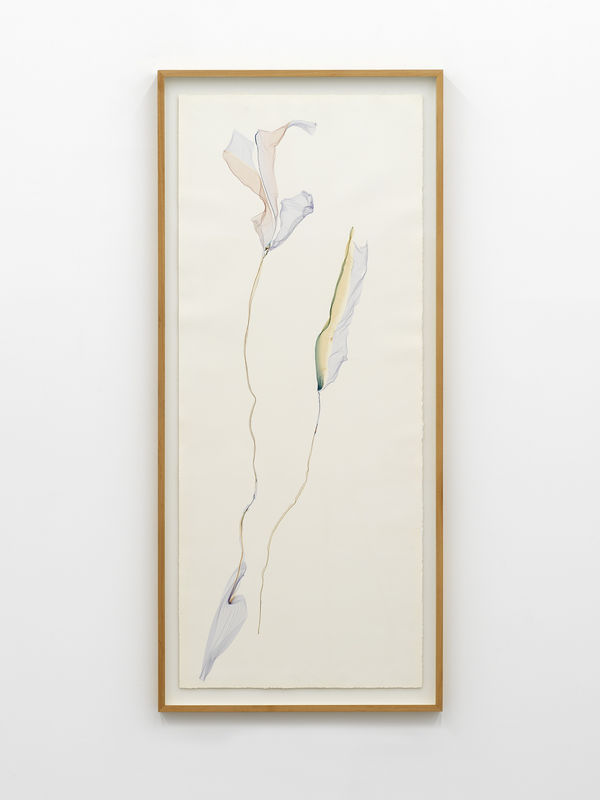 Black Mamba, 2023-2024, Polaroid emulsion lift on watercolour paper, cm 172 x 76. Ph Dario Lasagni