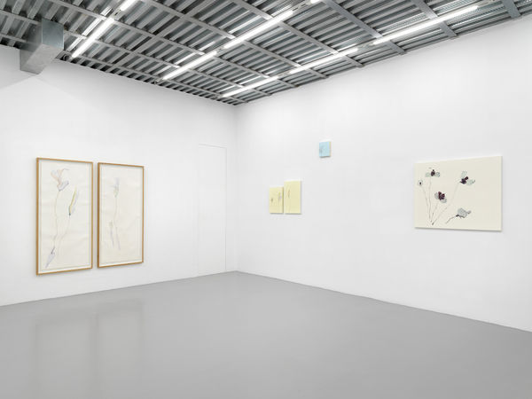 Installation View, Beatrice Pediconi | ... senza turbare una stella, curated by Antonello Tolve, 2024, z2o Sara Zanin | Ph. Dario Lasagni