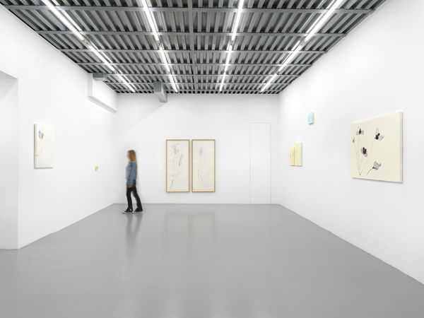 Installation View, Beatrice Pediconi | ... senza turbare una stella, curated by Antonello Tolve, 2024, z2o Sara Zanin | Ph. Dario Lasagni