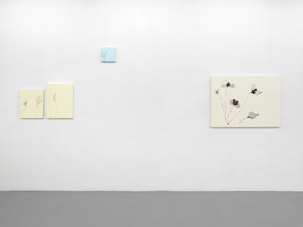 Installation View, Beatrice Pediconi | ... senza turbare una stella, curated by Antonello Tolve, 2024, z2o Sara Zanin | Ph. Dario Lasagni