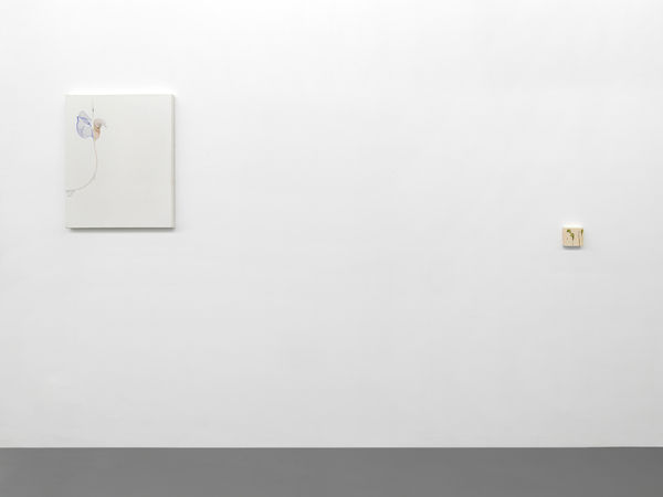 Installation View, Beatrice Pediconi | ... senza turbare una stella, curated by Antonello Tolve, 2024, z2o Sara Zanin | Ph. Dario Lasagni