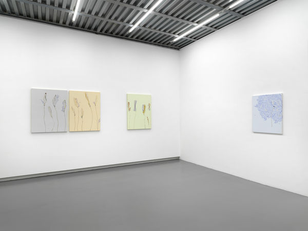 Installation View, Beatrice Pediconi | ... senza turbare una stella, curated by Antonello Tolve, 2024, z2o Sara Zanin | Ph. Dario Lasagni