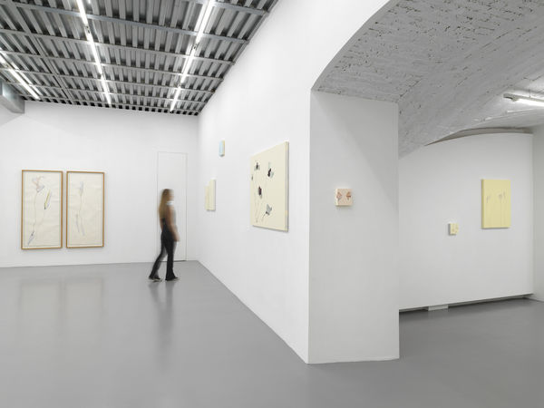 Installation View, Beatrice Pediconi | ... senza turbare una stella, curated by Antonello Tolve, 2024, z2o Sara Zanin | Ph. Dario Lasagni