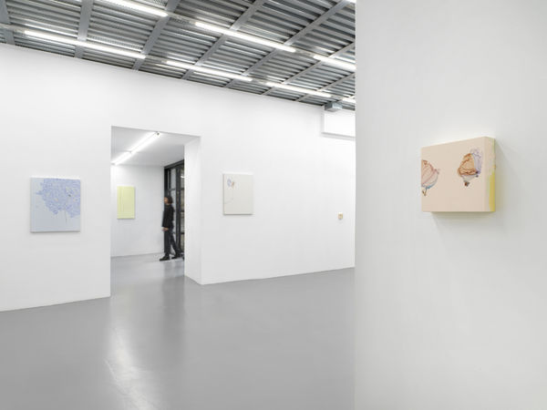 Installation View, Beatrice Pediconi | ... senza turbare una stella, curated by Antonello Tolve, 2024, z2o Sara Zanin | Ph. Dario Lasagni