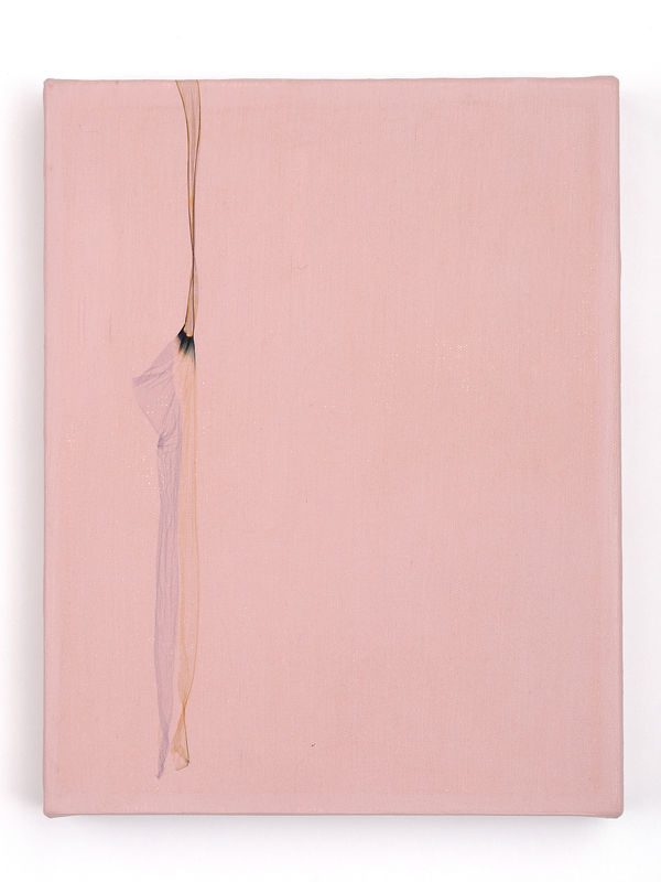 Beatrice Pediconi - Untitled XI, 2008