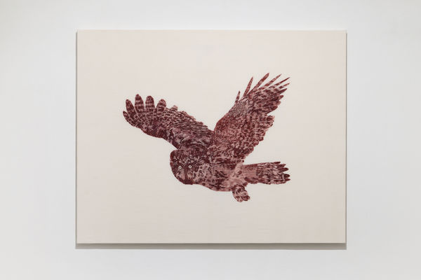 Marta Roberti, Gufo Rosso, 2025, embroidery (cotton silk and metallic threads), cm 80 x 100. Ph Roberto Apa