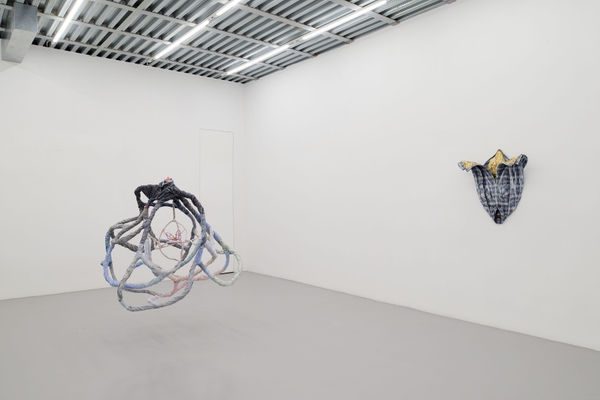 Kaarina Kaikkonen Unfolding Hope