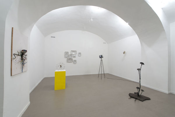 Hidden Beauty | curated by Marina Dacci and Krištof Kintera with Anna Hulačová, Krištof Kintera, Pavla Sceranková, Richard Wiesner