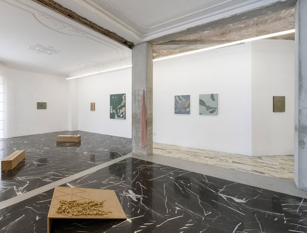 Beatrice Meoni | Luce ovunque