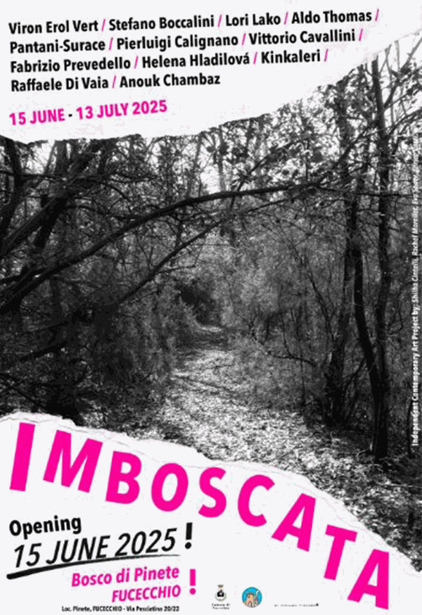 Imboscata, Bosco di pinete, Fucecchio (FI)