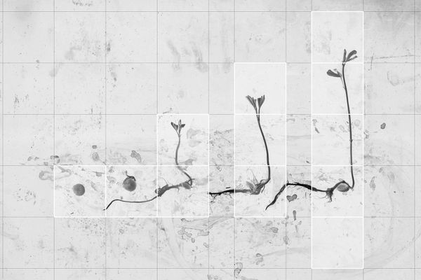 Festival delle Letterature - Migranti, Generazione spontanea