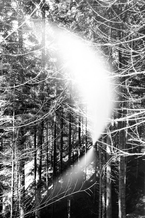 Mariella Bettineschi