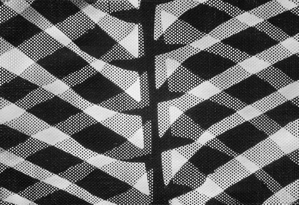 Michele Guido "Giardino in quattro atti_2011/2021" - Casa deli artisti, Milan