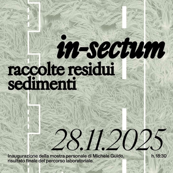 Michele Guido | in-sectum. raccolte residui sedimenti