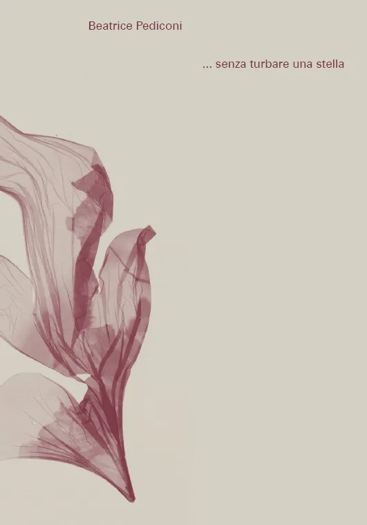 Beatrice Pediconi | ... senza turbare una stella
