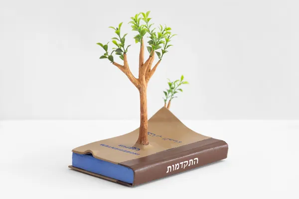 Camille Kachani Inobedientem corpus II, 2026 Técnica mista 28 x 30 x 17 cm