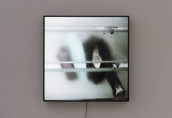 Graciela Sacco, Migrantes #3, 2010