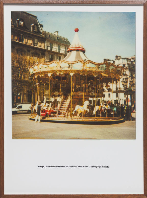 Flávia Junqueira, Cartografia afetiva, 2013