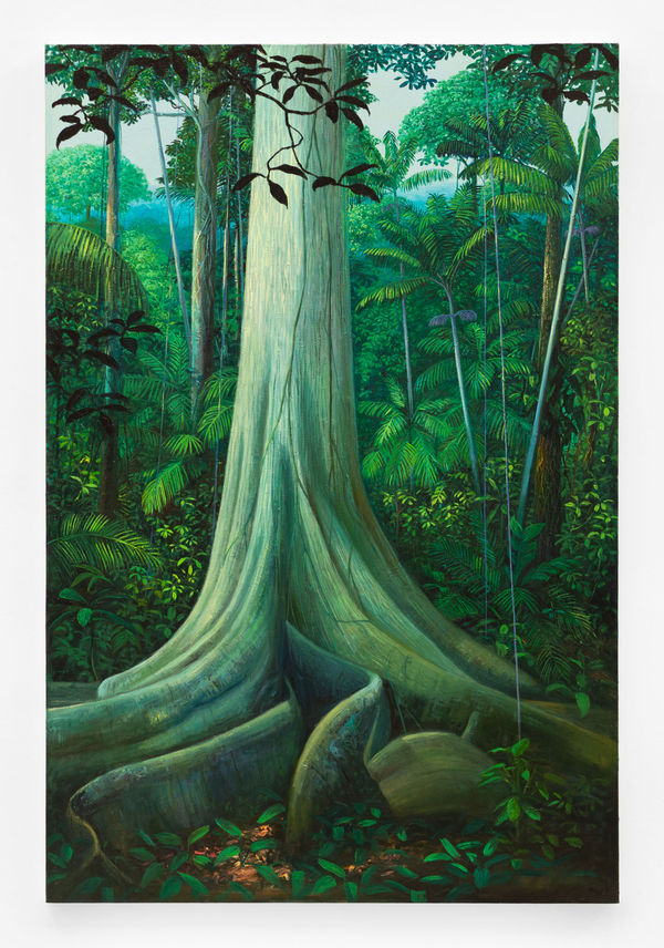 Miguel Penha Chiquitano, Samaúma e Apuí, 2025