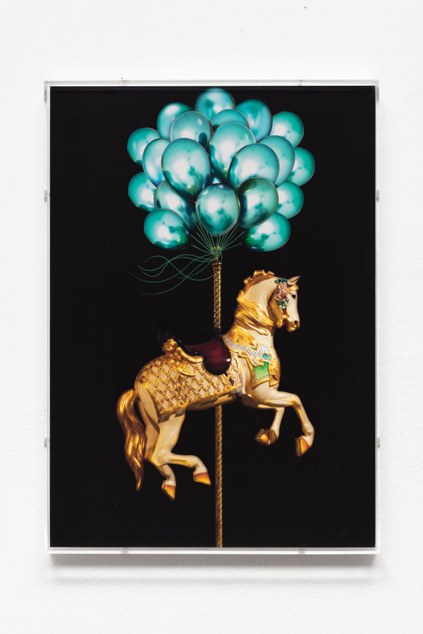 Flávia Junqueira, Série Carnival Carousel/Cavalo #1, 2020