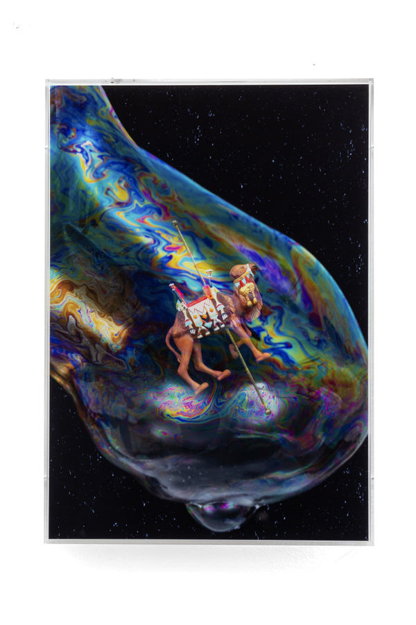 Flávia Junqueira, Série Glass, Camel #1, 2023