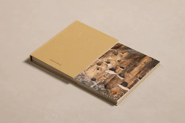 Rodrigo Braga lança livro na abertura de sua individual na Zipper Galeria, Publicado pela editora Fotô, o livro reúne textos...