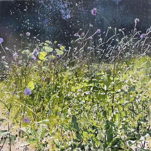 James Fotheringhame - Kingfisher, Teifi Marshes, 2025