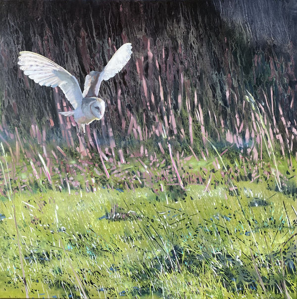 James Fotheringhame oil on linen painting of a barn owl in flight highlighted against a twilight sky, flying over green fields