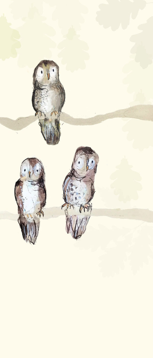 Catherine Rayner screen print and watercolour painting of three owls perched on branches