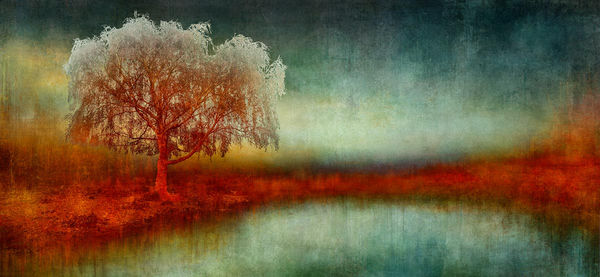 Mark Munroe-Preston digitally illustrated image of a lone tree on the left hand side of a landscape, in colours sage and copper