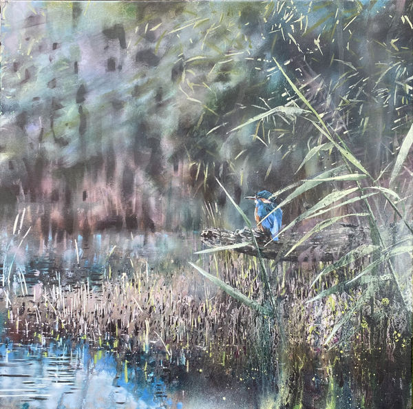 James Fotheringhame painting, oil on linen a bright blue kingfisher sits on a branch, next to water and grasses