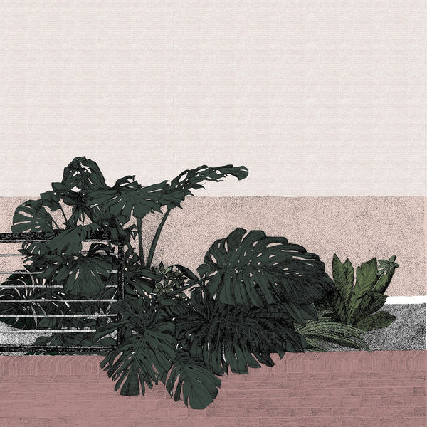 Clare Halifax screenprint of a cheese plant on a salmon pink patterned background