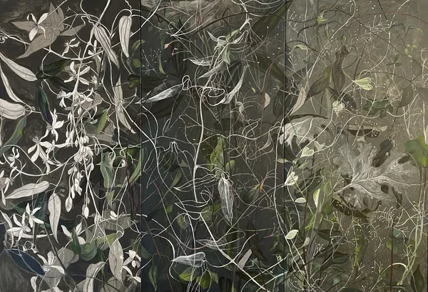 Rowena Mayell, Tangled