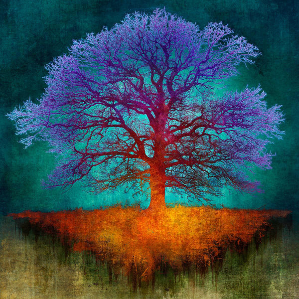 Mark Munroe Preston digitally illustrated image of a tree in vivid colours blue, green, purple, red and turquoise