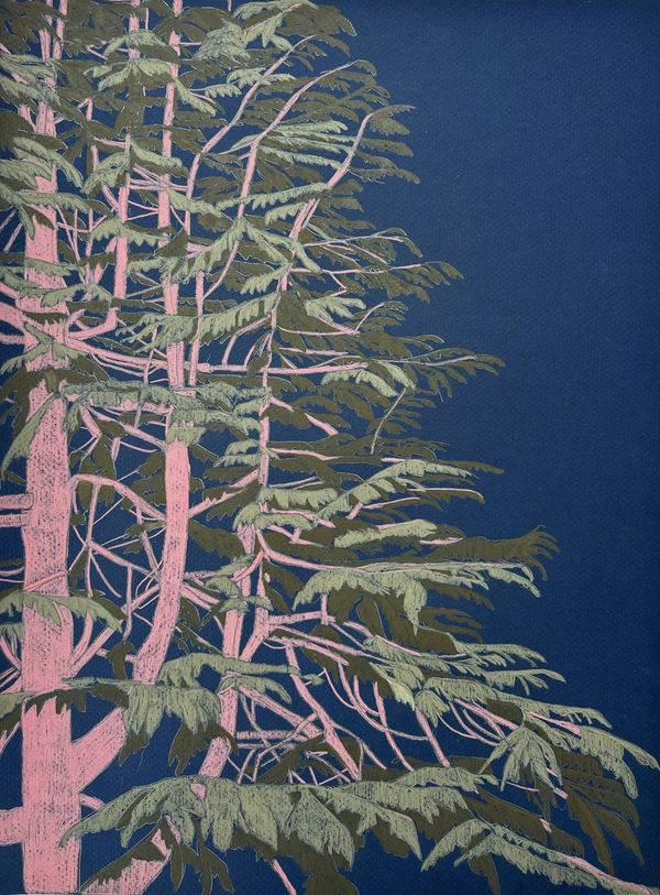 Clare Halifax pencil drawing of a treetop with a pink trunk, with green leaves against a navy blue night sky
